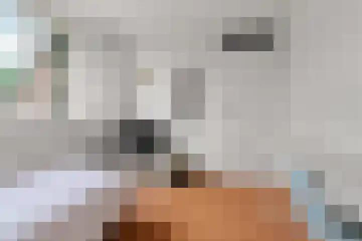 Tuinlaan 38 Bemmel thumbnail 18