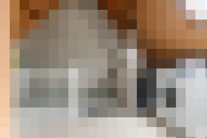 Tuinlaan 38 Bemmel thumbnail 29