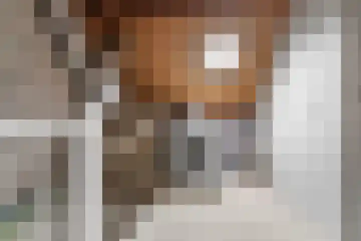 Tuinlaan 38 Bemmel thumbnail 30