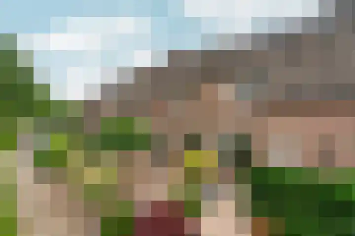 Tuinlaan 38 Bemmel thumbnail 42