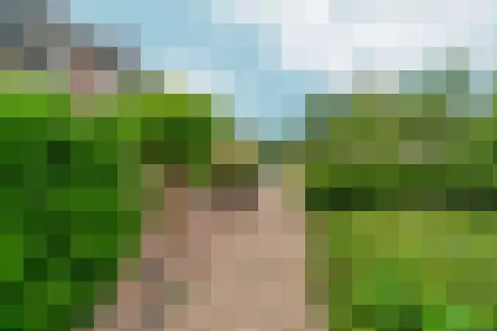 Tuinlaan 38 Bemmel thumbnail 45