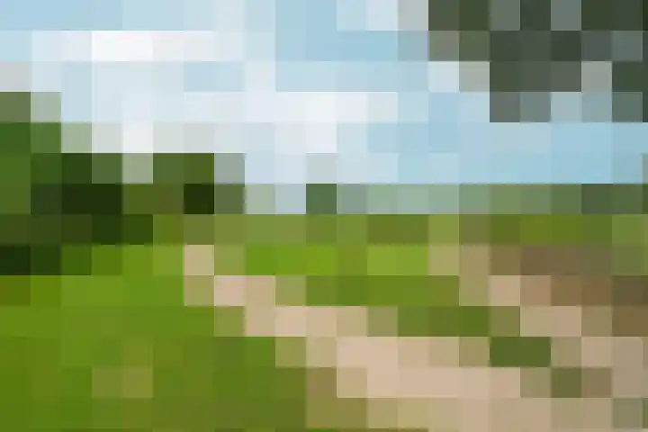 Tuinlaan 38 Bemmel thumbnail 46