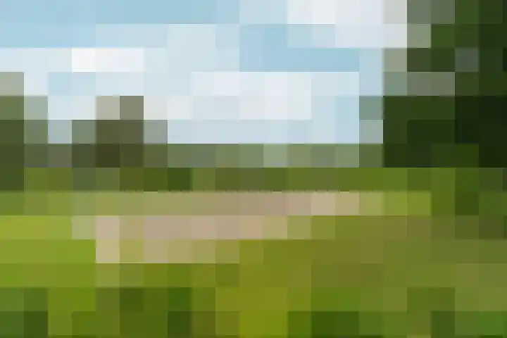 Tuinlaan 38 Bemmel thumbnail 47