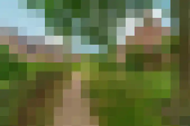 Tuinlaan 38 Bemmel thumbnail 48
