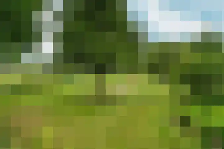 Tuinlaan 38 Bemmel thumbnail 49