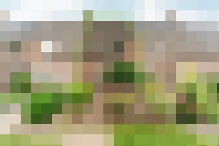 Tuinlaan 38 Bemmel thumbnail 55