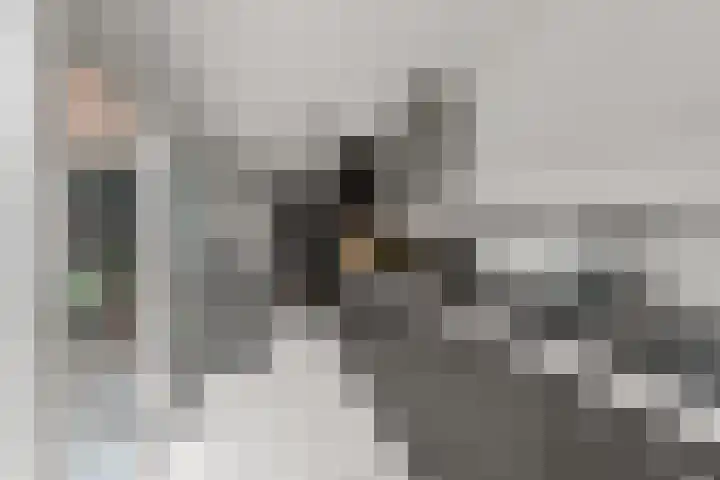 Tuinlaan 38 Bemmel thumbnail 9