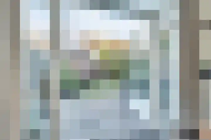 Tuinlaan 82 Bemmel thumbnail 19