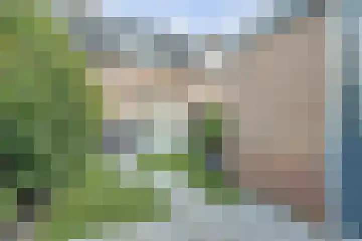 Tuinlaan 82 Bemmel thumbnail 25