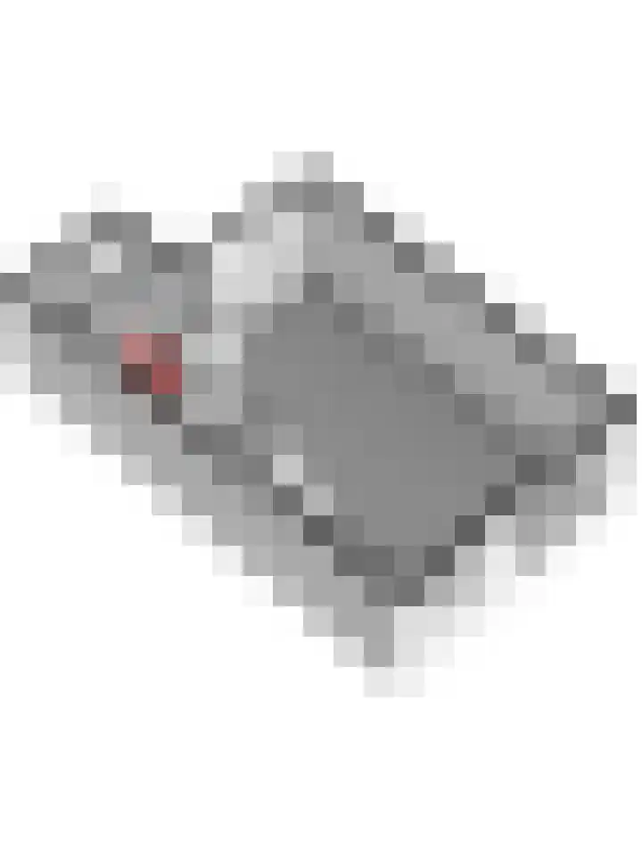 Tuinlaan 82 Bemmel thumbnail 49