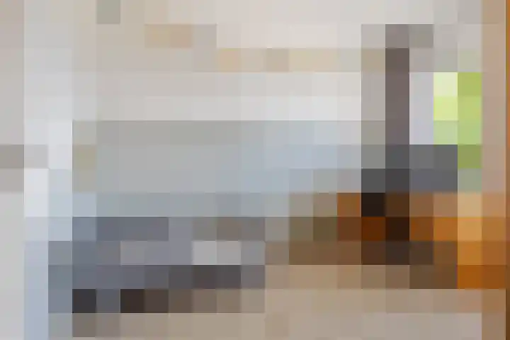 Tuinpad 38 Dorst thumbnail 14