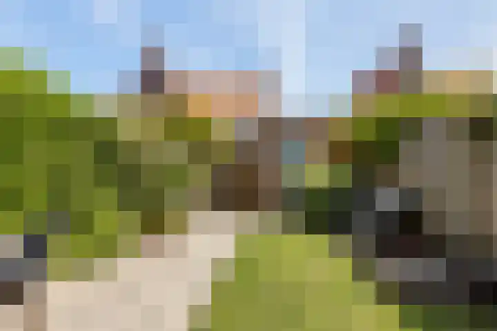 Tuinpad 38 Dorst thumbnail 22
