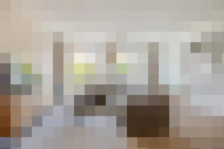 Tuinpad 38 Dorst thumbnail 5