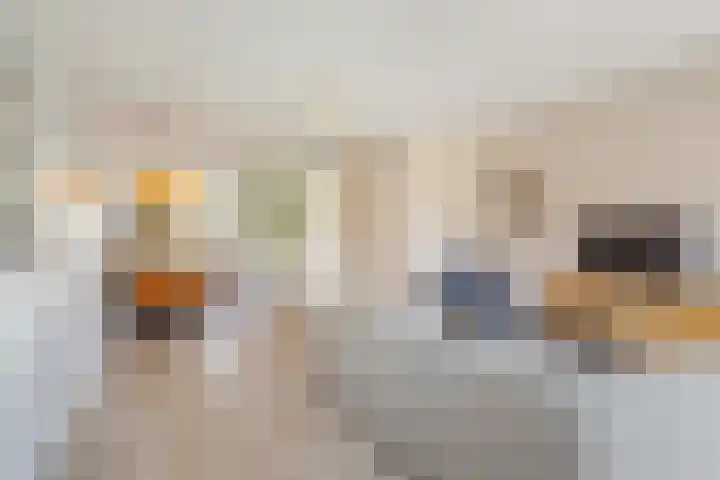 Tuinpad 38 Dorst thumbnail 8