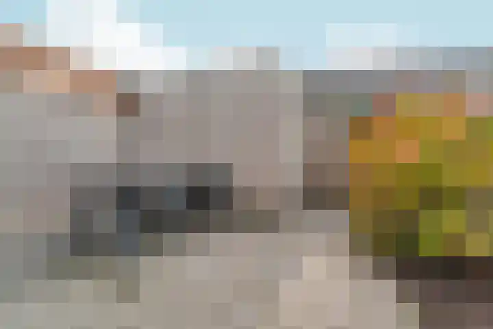 Tuinpad 6 Zevenaar thumbnail 32
