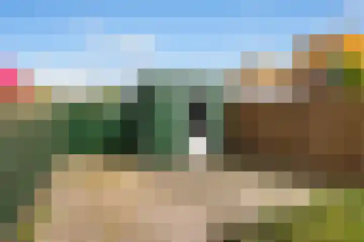Tuinstee 12 Purmerend thumbnail 11