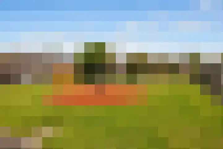 Tuinstee 12 Purmerend thumbnail 12