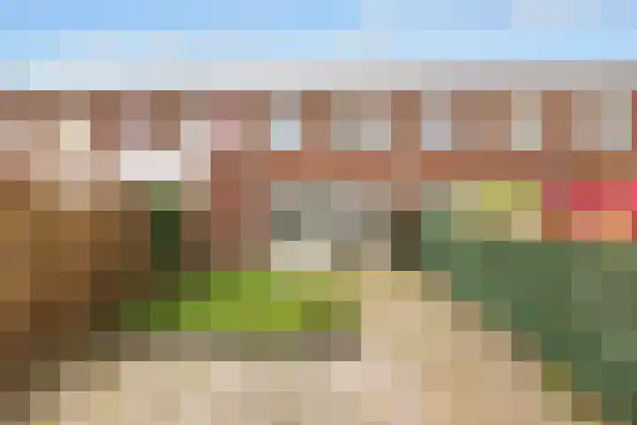 Tuinstee 12 Purmerend thumbnail 14