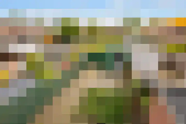 Tuinstee 12 Purmerend thumbnail 22
