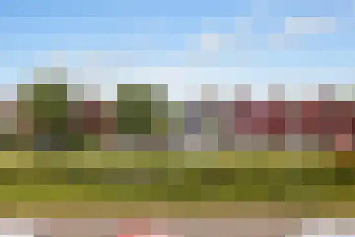 Tuinstee 12 Purmerend thumbnail 23