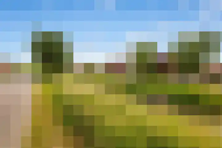 Tuinstee 12 Purmerend thumbnail 24