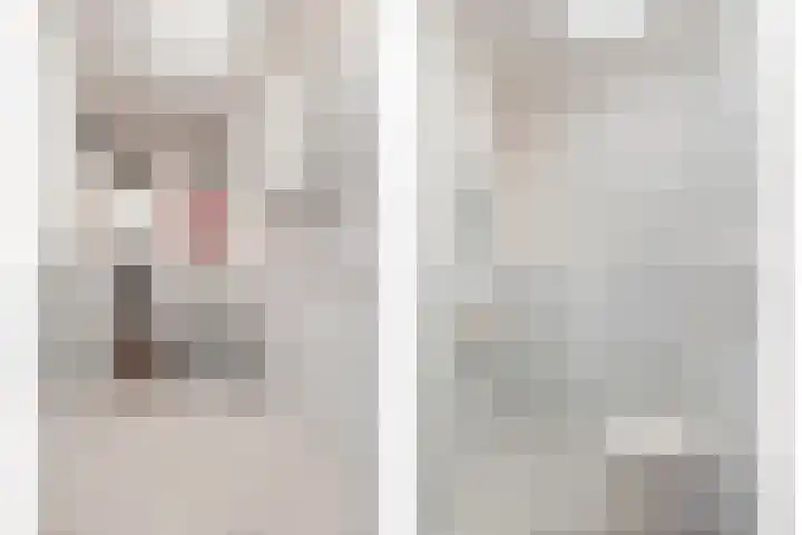 Tuinstraat 11 Asten thumbnail 23