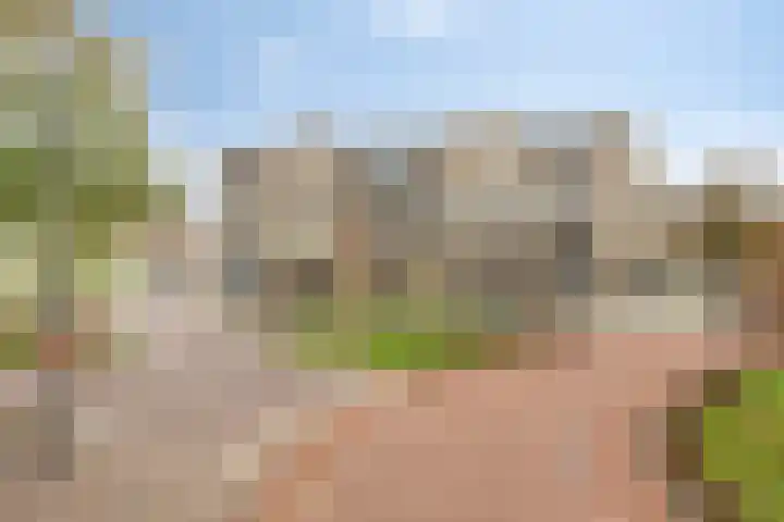 Tuinstraat 11 Asten thumbnail 37