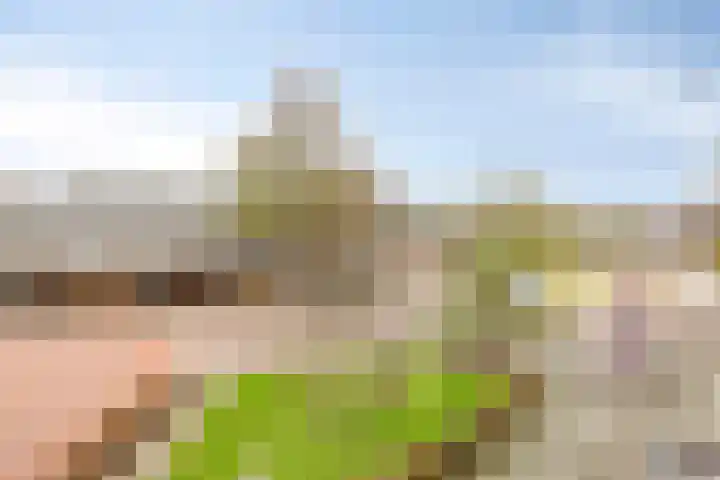 Tuinstraat 11 Asten thumbnail 8