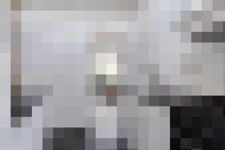 Tuinstraat 111 Boskoop thumbnail 11