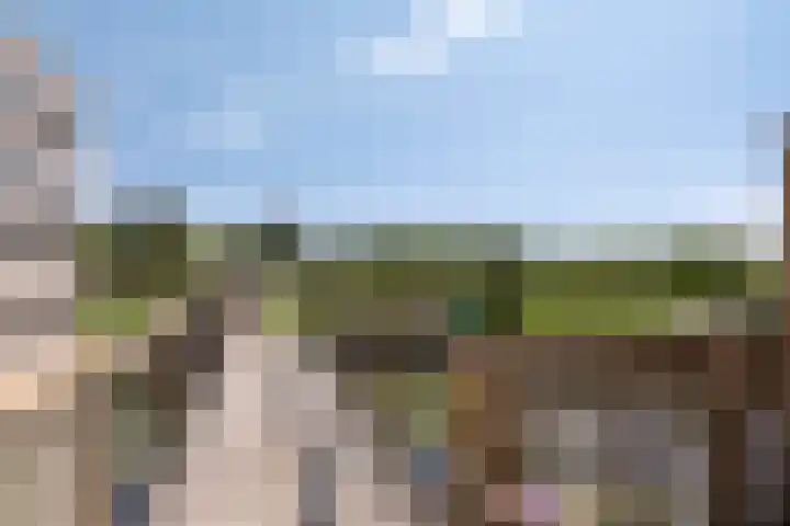 Tuinstraat 111 Boskoop thumbnail 21