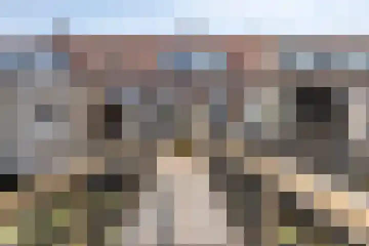 Tuinstraat 111 Boskoop thumbnail 24