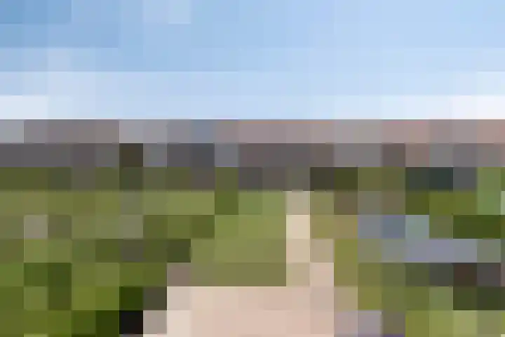 Tuinstraat 111 Boskoop thumbnail 31