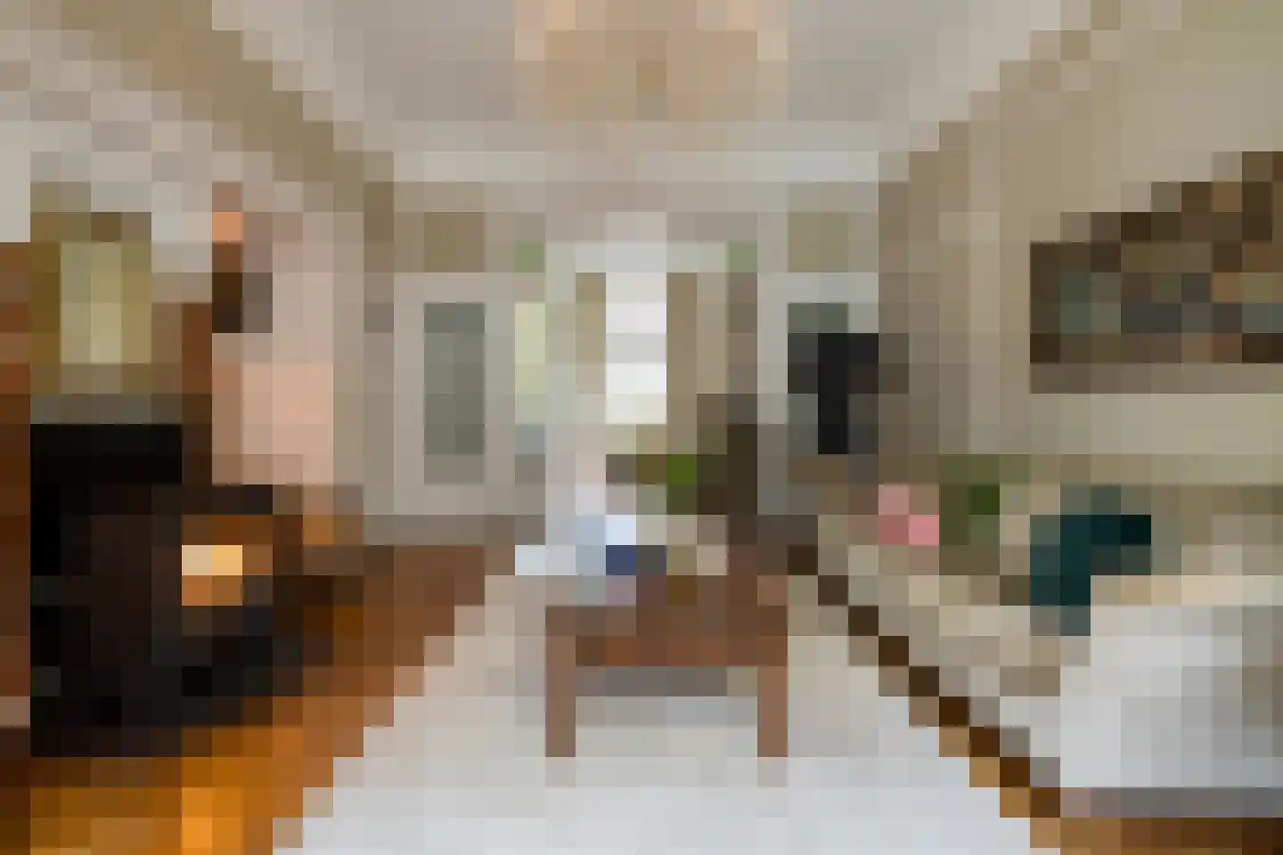 Tuinstraat 112 Tilburg thumbnail 13