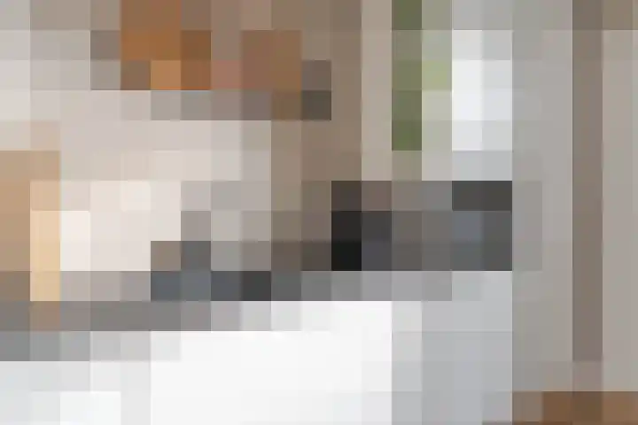 Tuinstraat 13 Boskoop thumbnail 18