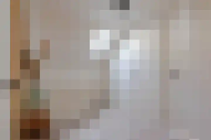 Tuinstraat 13 Boskoop thumbnail 22