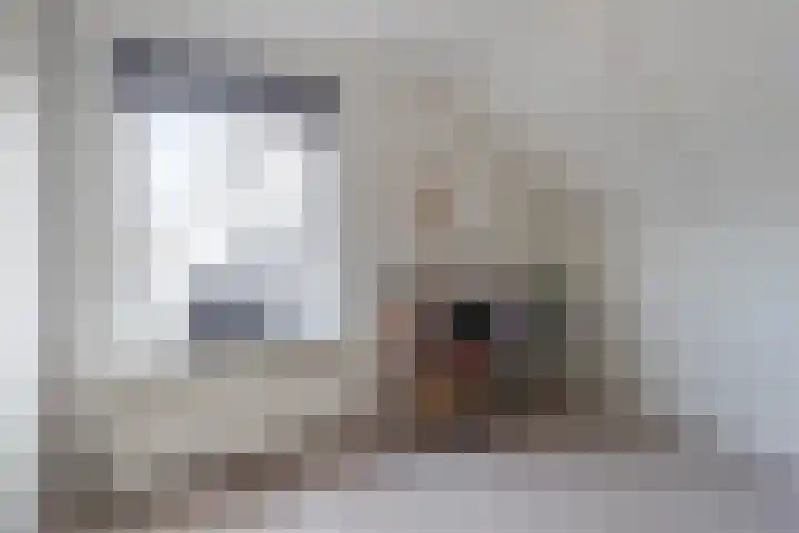 Tuinstraat 13 Boskoop thumbnail 32