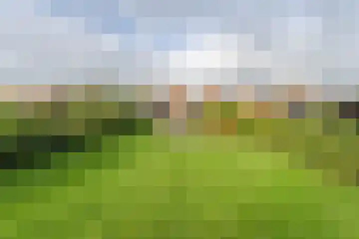 Tuinstraat 13 Boskoop thumbnail 36