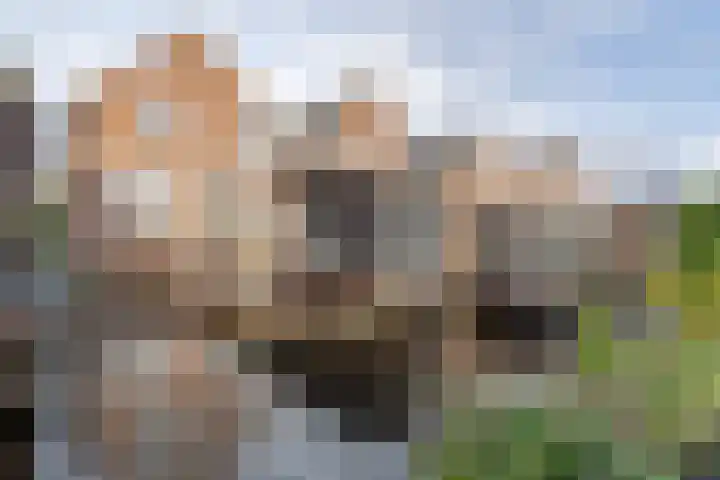 Tuinstraat 13 Boskoop thumbnail 39