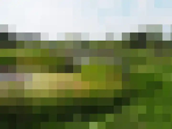 Tuinstraat 13 Boskoop thumbnail 41