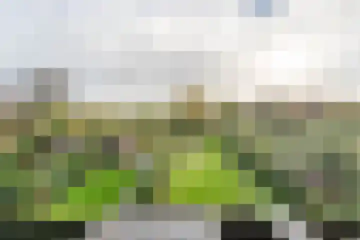 Tuinstraat 13 Boskoop thumbnail 5
