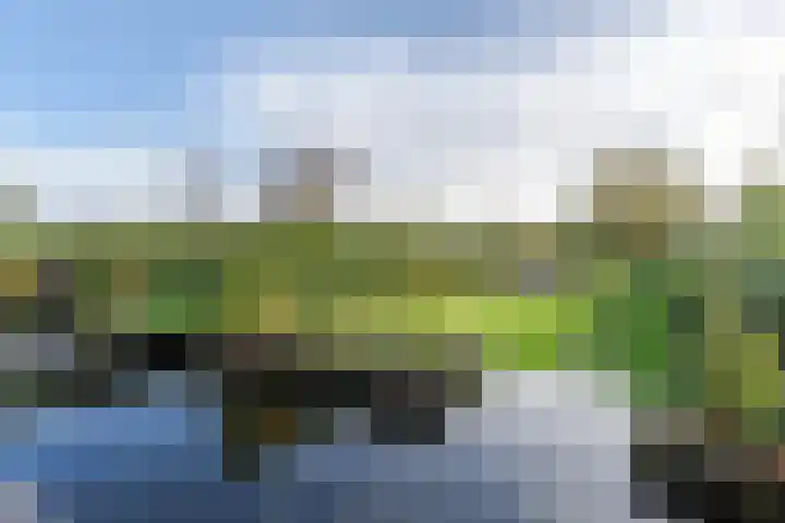 Tuinstraat 13 Boskoop thumbnail 6