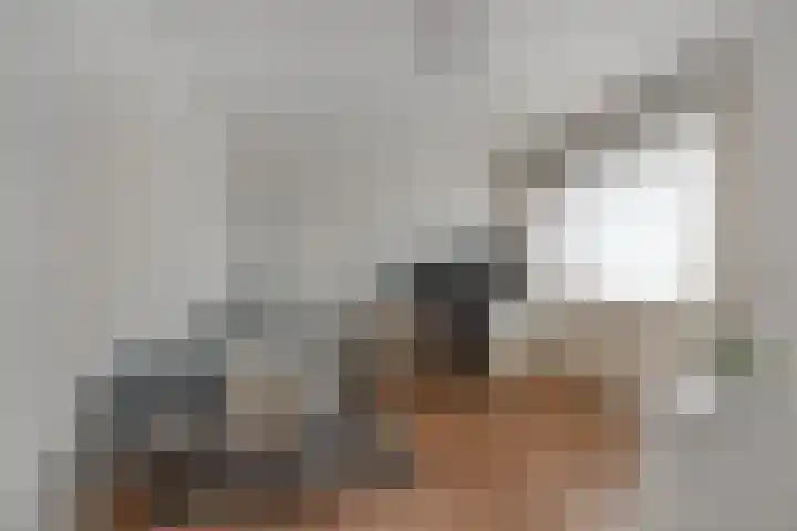 Tuinstraat 13 C Den Dungen thumbnail 13