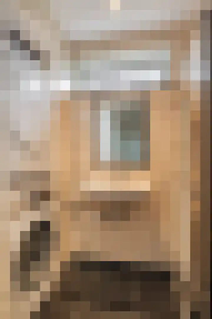 Tuinstraat 13 C Den Dungen thumbnail 17