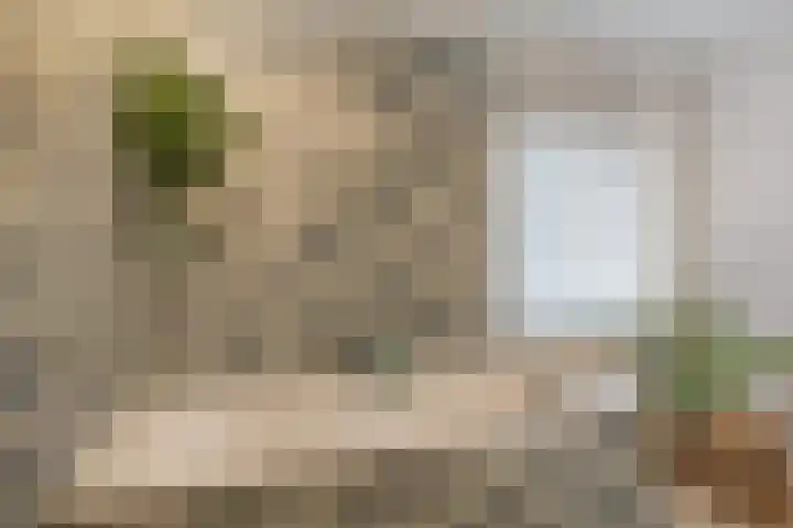 Tuinstraat 13 C Den Dungen thumbnail 18