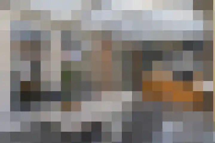 Tuinstraat 13 C Den Dungen thumbnail 23