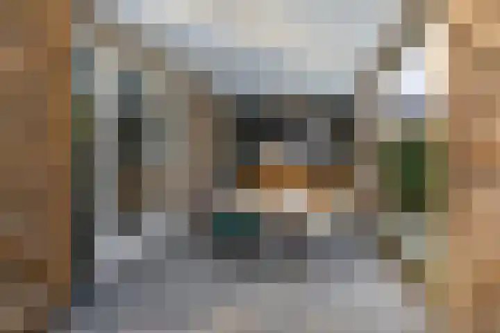 Tuinstraat 13 C Den Dungen thumbnail 25