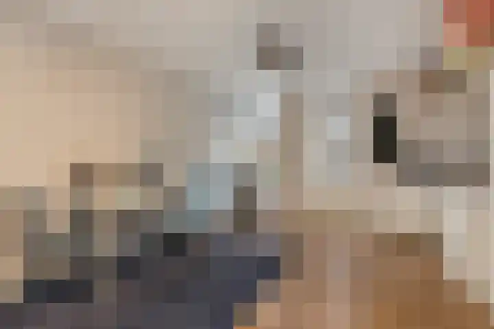 Tuinstraat 13 C Den Dungen thumbnail 27