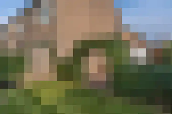 Tuinstraat 13 C Den Dungen thumbnail 28