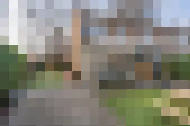 Tuinstraat 13 C Den Dungen foto 3
