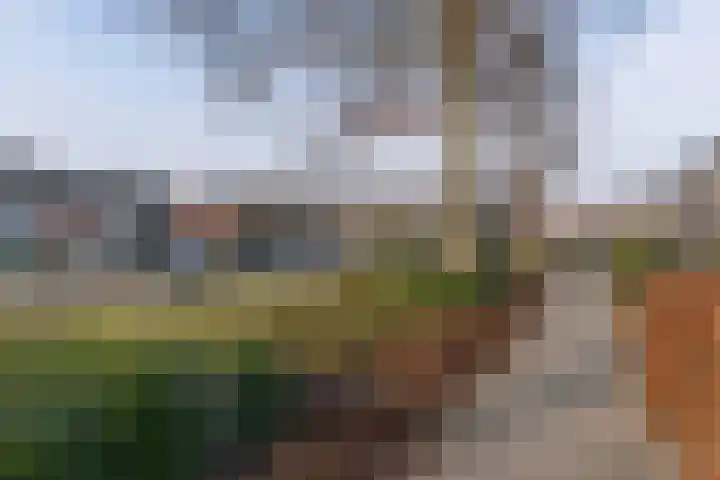 Tuinstraat 13 C Den Dungen thumbnail 33